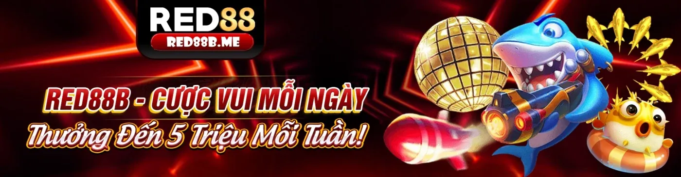 Hình ảnh đại diện Điều Khoản Dịch Vụ wi55