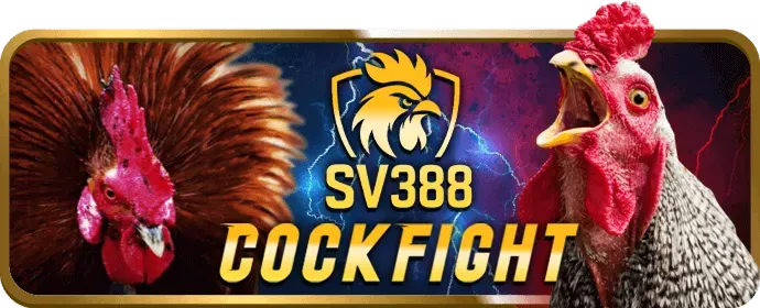 Cộng đồng wi55 với người chơi lớn và sự kiện giao lưu